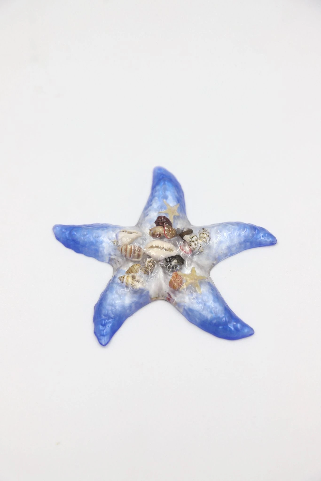 Star Fish