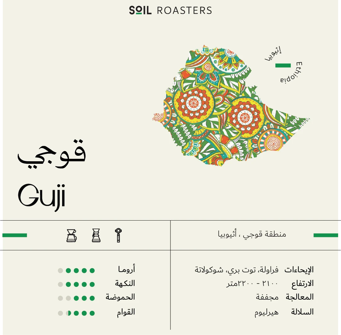 سويل - قوجي